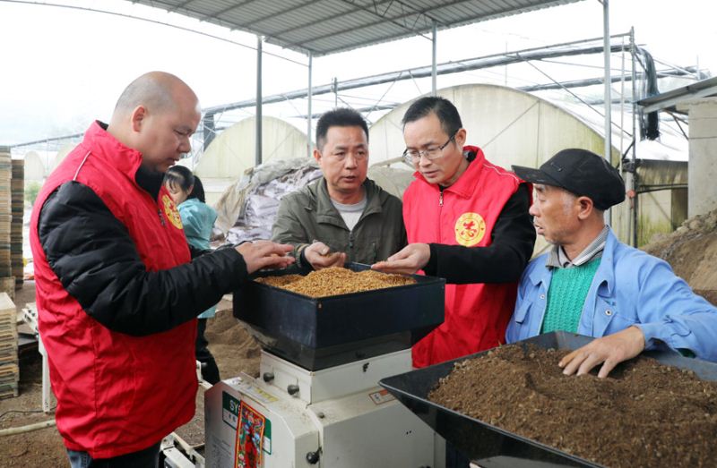 技术人员正在指导村民科学育苗。