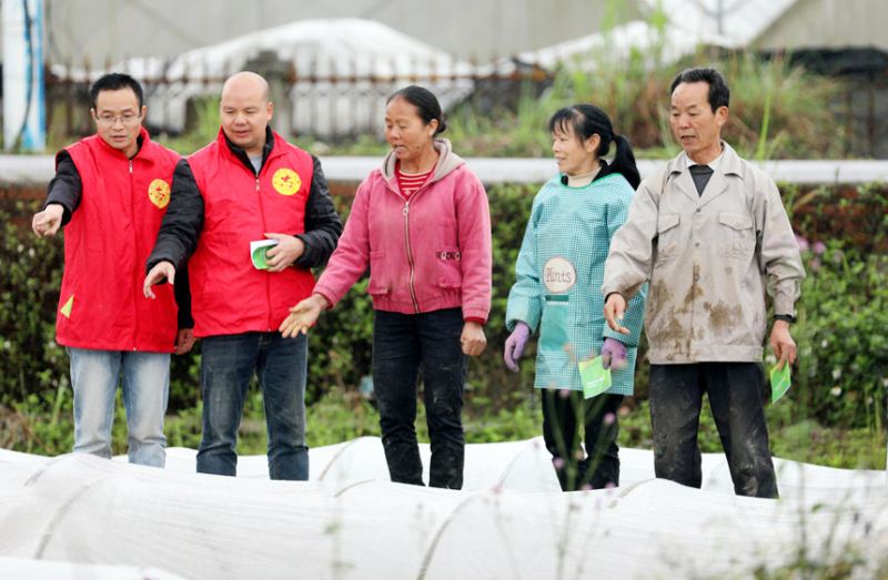 3月24日，在广西柳州市融安县浮石镇水稻育苗基地，技术人员给农民讲解育苗管理知识。